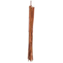 4-Foot Bamboo Plant Stakes – 12-Pack