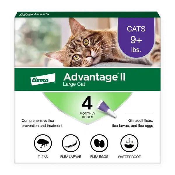 Advantage II for Large Cats – Fast-Acting Flea Prevention Treatment