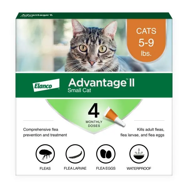 Advantage II for Small Cats – Vet-Recommended Flea Control Formula