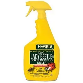 Asian Lady Beetle and Box Elder Bug Killer – 32-Ounce Ready-to-Use Spray