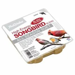 Birds Blend Suet Cake for Wild Birds – 11.25-Ounce Block