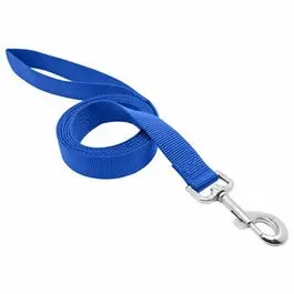 Blue Nylon Dog Leash – 1-Inch Thick, 6-Foot Heavy-Duty Walking Lead
