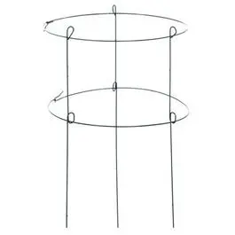 Double-Ring Peony Support – 18 x 36-Inch Green Steel Frame