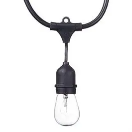 Dublin LED Mini Light String – 12 Bulbs, 24 Feet