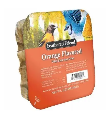 Feathered Friend Orange-Flavored Suet Block for Wild Birds