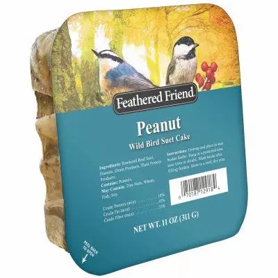 Feathered Friend Peanut-Flavored Suet Block for Wild Birds