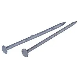 Galvanized Common Nails – 12D × 3.25 in, 1 lb Pack