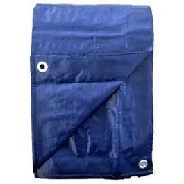 Heavy-Duty Blue Polyethylene Storage Tarp (20 ft x 30 ft)