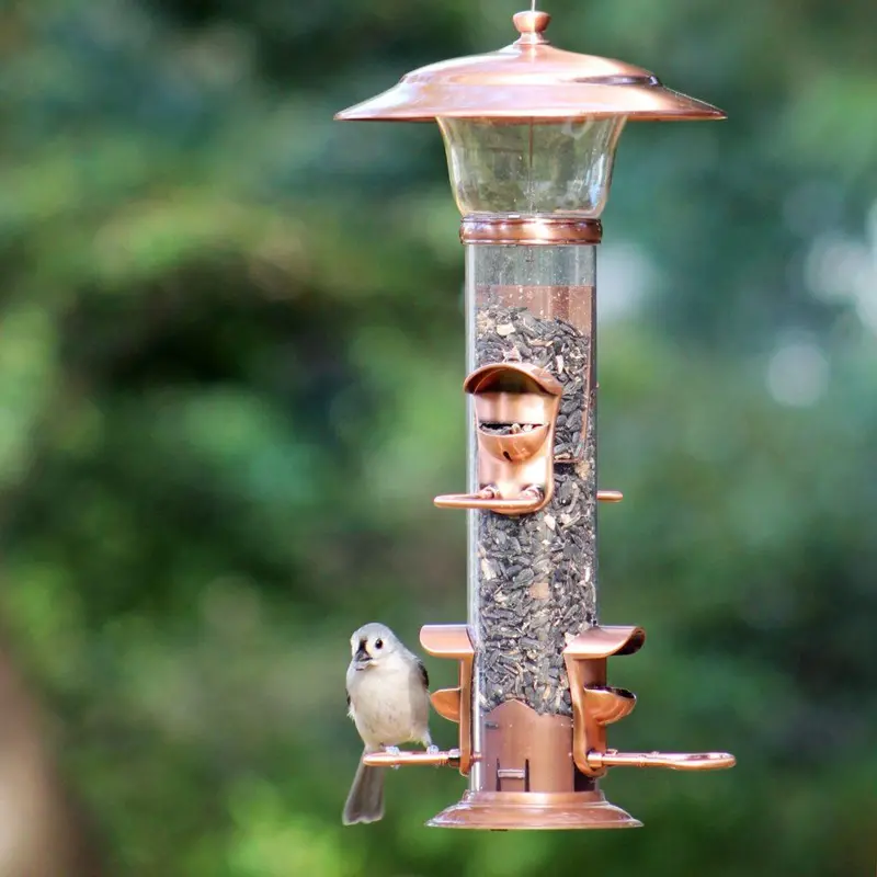 More Birds Radiant Songbird Sunflower Feeder – Squirrel-Resistant Design