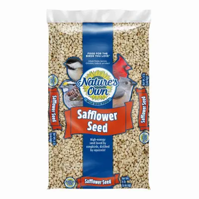 Natural Safflower Seed Blend for Wild Birds – No Fillers, All Seeds