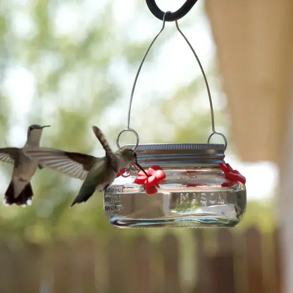 Nature’s Way Mason Jar-Style Hummingbird Feeder for Outdoor Use