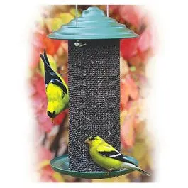 Nyjer (Thistle) Bird Feeder – 3/4 lb Capacity Magnum Design