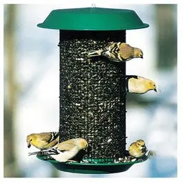 Oil Sunflower Seed Bird Feeder – 3 lb Capacity Magnum Style