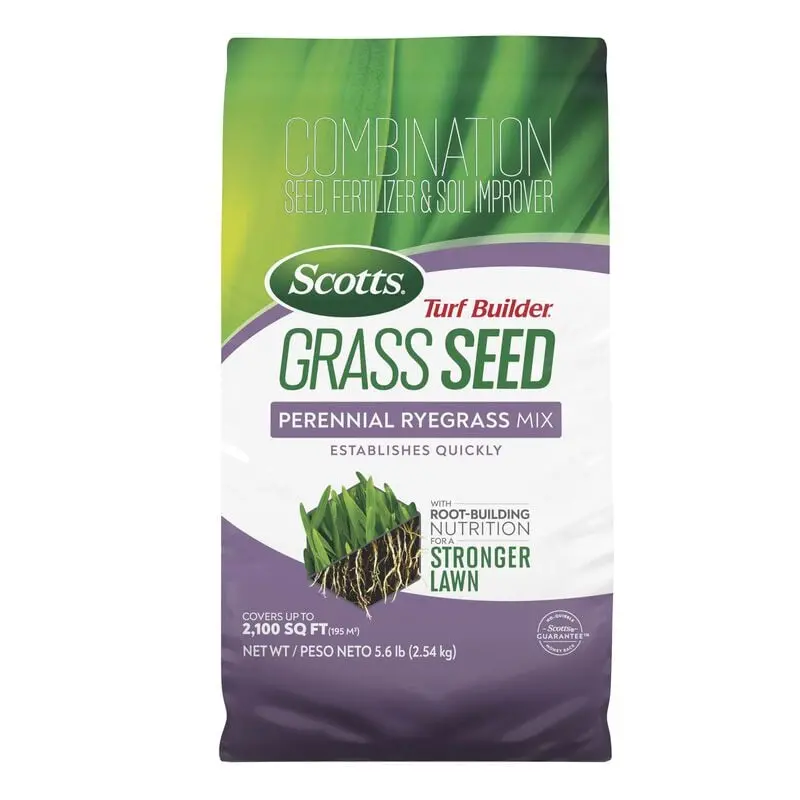 Scotts Turf Builder Perennial Ryegrass Grass Seed – 5.6 lbs