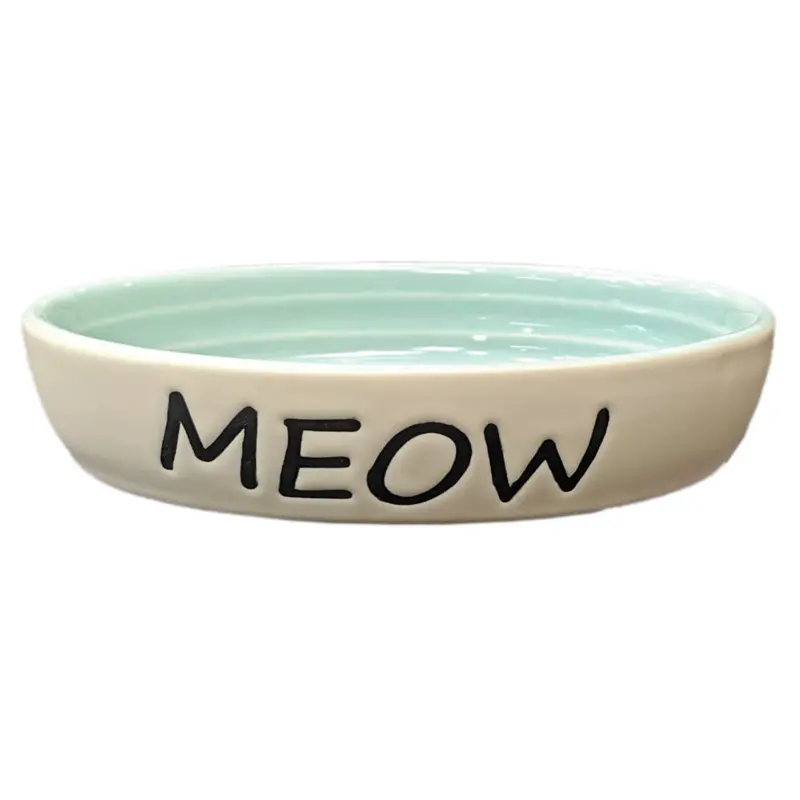 SPOT Meow Dish – Oval 6-Inch Green Cat Feeding Bowl