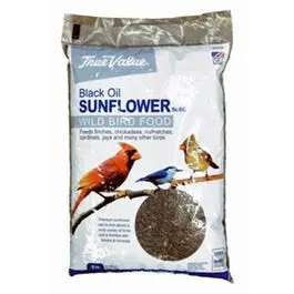 True Value Black Oil Sunflower Seeds – Premium Bird Feed for Wild Birds