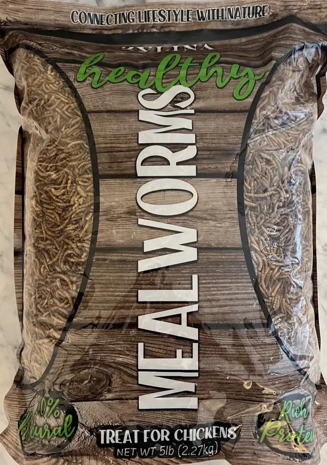 Zylina Nutritious Live Mealworms for Pets and Reptiles